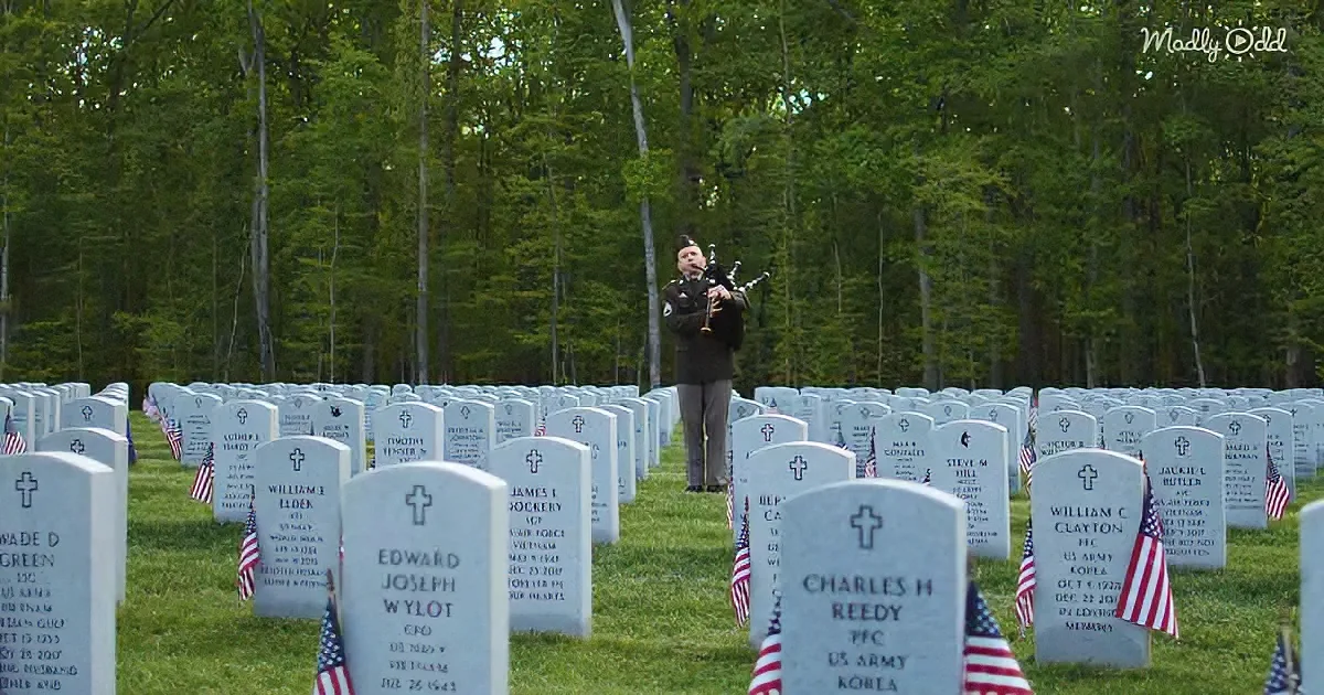 A man plays bagpipes amidst rows of headstones adorned with American flags in a forested cemetery.