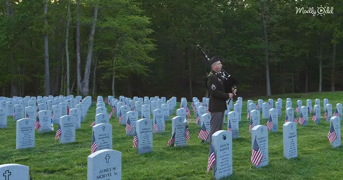 A soldier plays bagpipes in a cemetery with rows of white headstones and American flags.