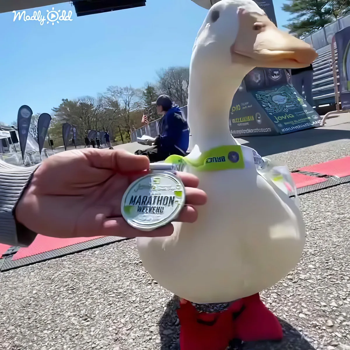A person holds a marathon medal in front of a large goose mascot at an event.