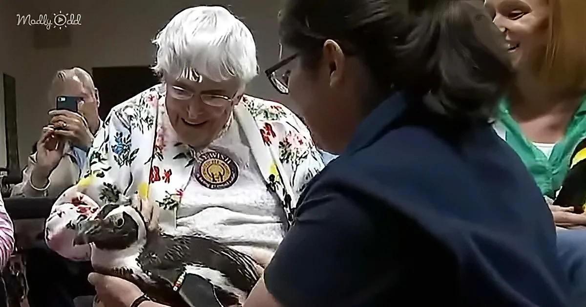 104-year-old woman meet a penguin