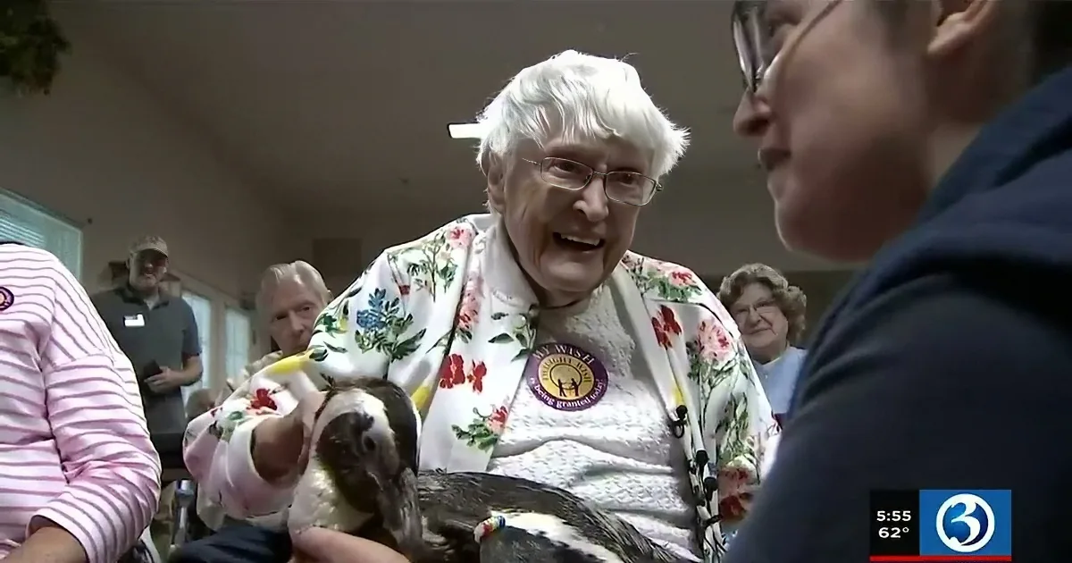 104-Year-Old Woman Accomplishes Her Life's Goal of Meeting a Penguin