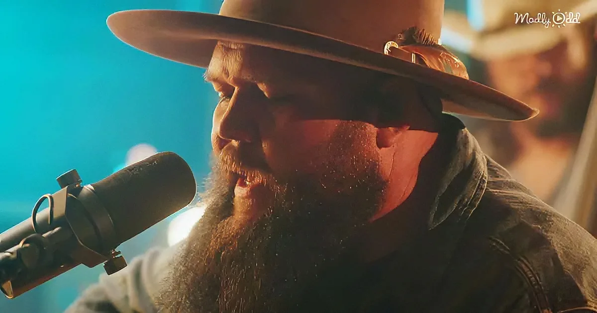 A bearded man in a wide-brimmed hat sings into a microphone, bathed in warm, blue-toned light.