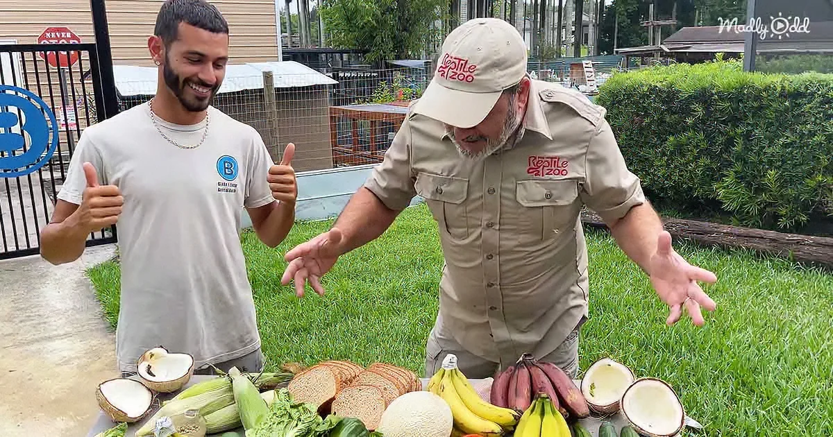 Two men stand by a table filled with various fruits and vegetables, one gesturing excitedly.