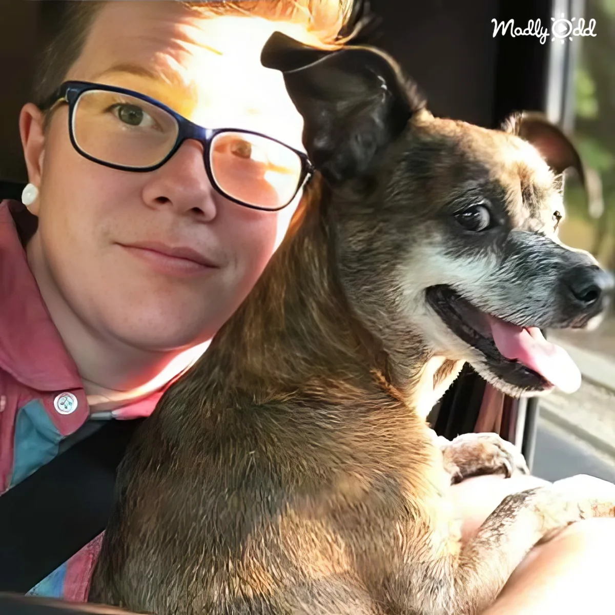 A person wearing glasses and a red shirt is holding a brown and black dog with its tongue out.