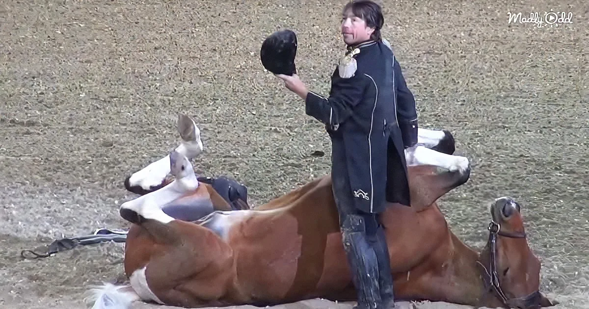A person in a black outfit sits atop a brown horse lying on its side, holding a black hat.