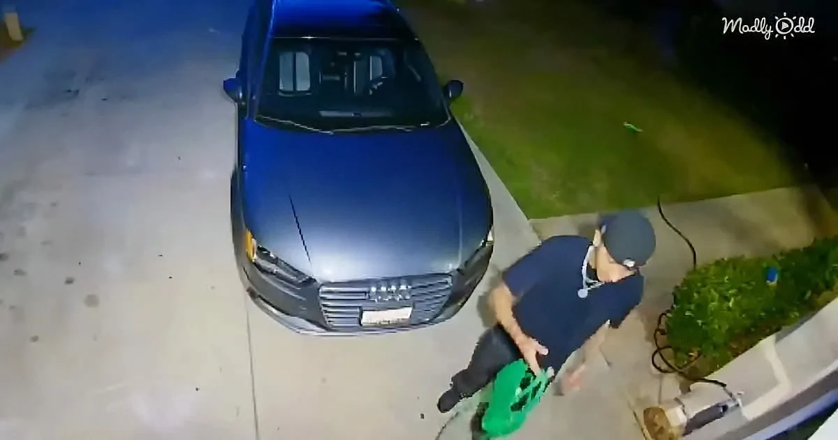 A man in a blue shirt leans over a green object near a parked blue car on a driveway.
