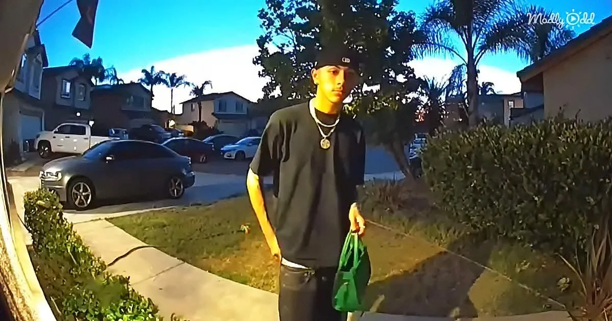 Teen Returns Woman's Lost Purse, She Repays Him With $3,000
