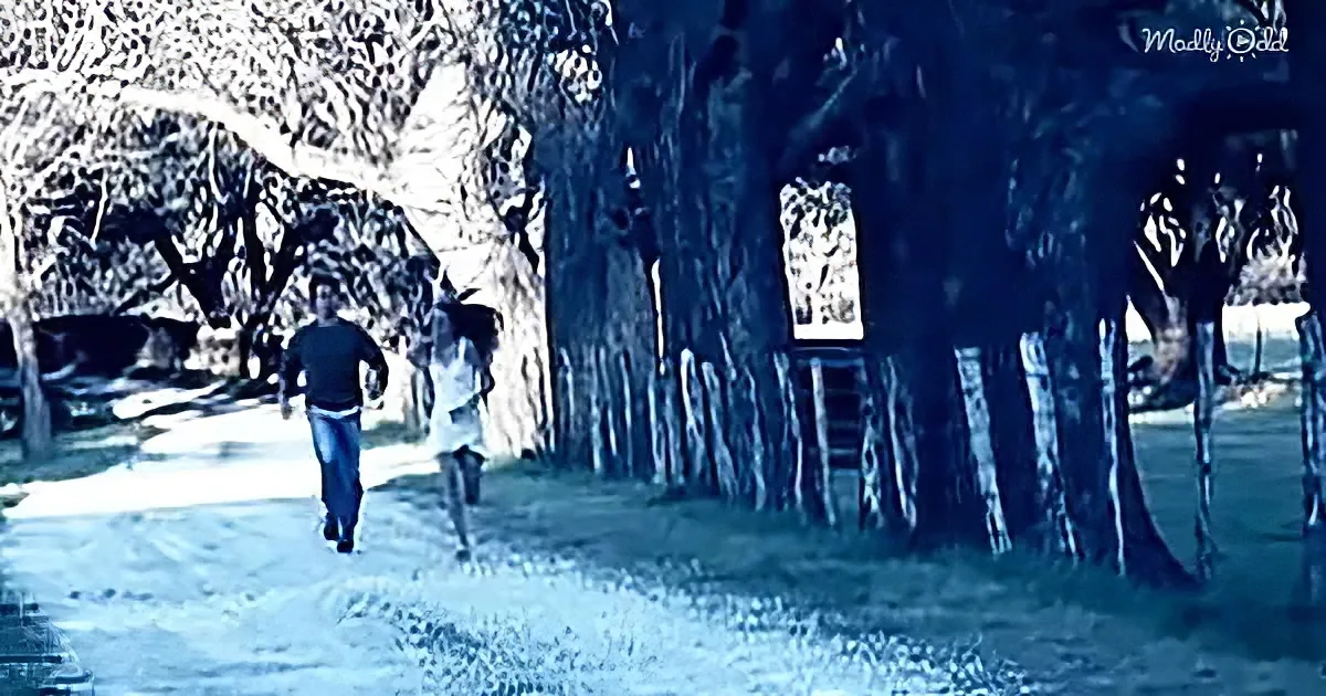 A man and a child walk along a path near a large tree with a sign, under a blue-toned sky.