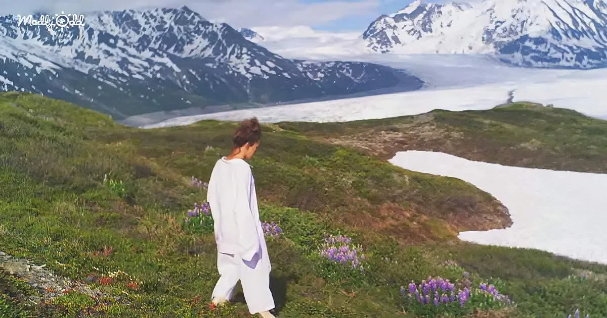 A person in white walks through a field of purple flowers, overlooking a snow-capped mountain range and a glacier.