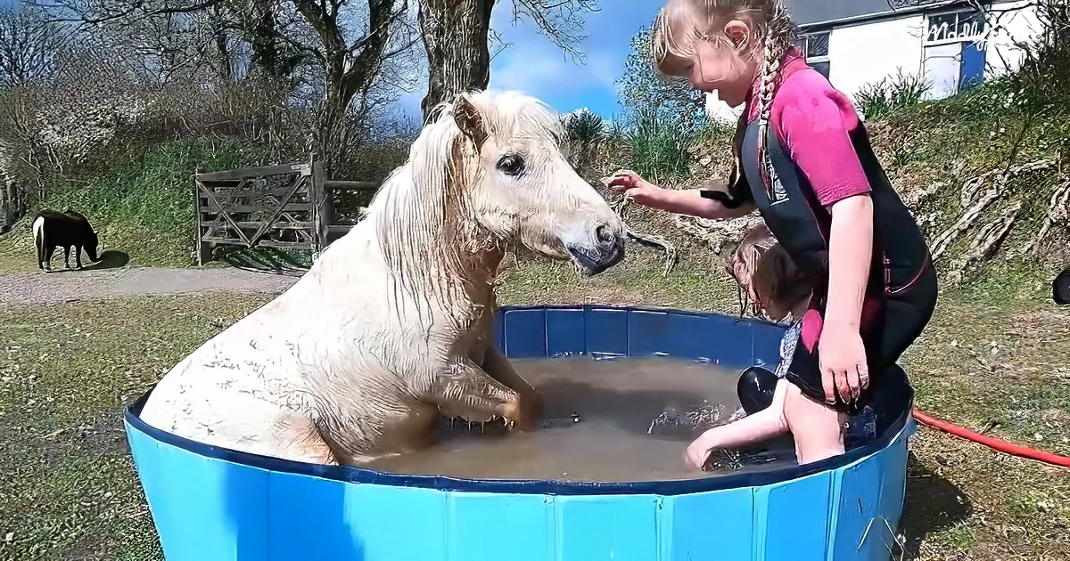 Kids and ponies