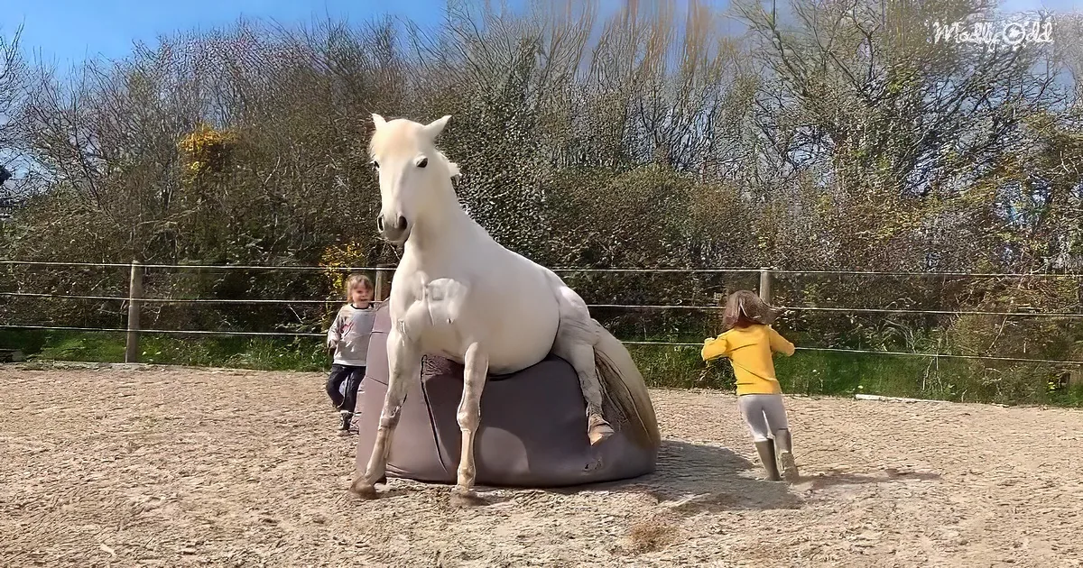 Kids and ponies