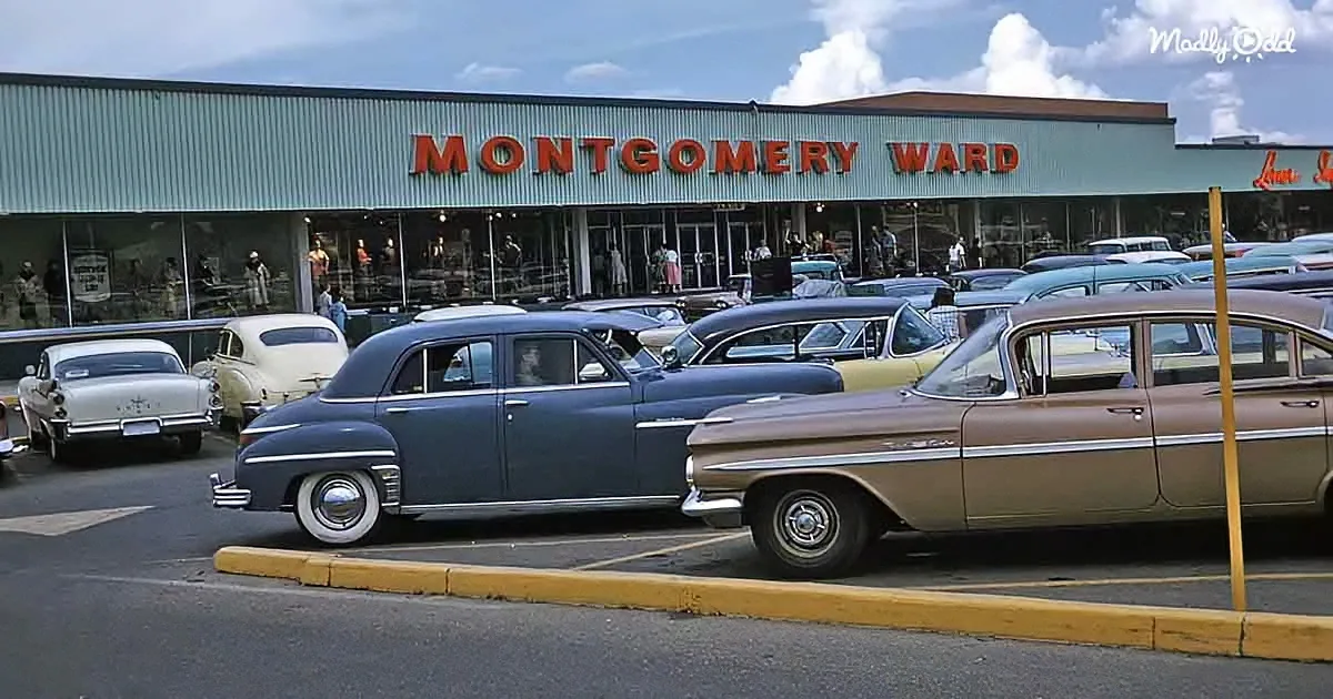 Classic cars parked in front of a Montgomery Ward store on a sunny day.