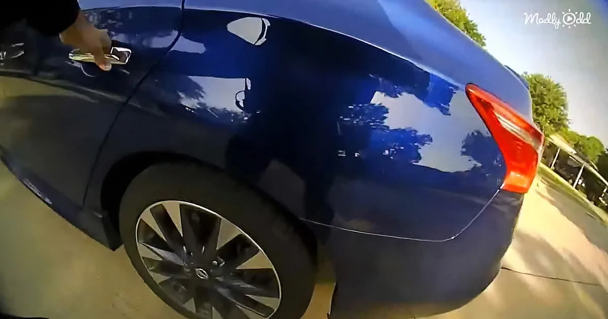 A person opens the door of a shiny blue car parked on a sunny day.