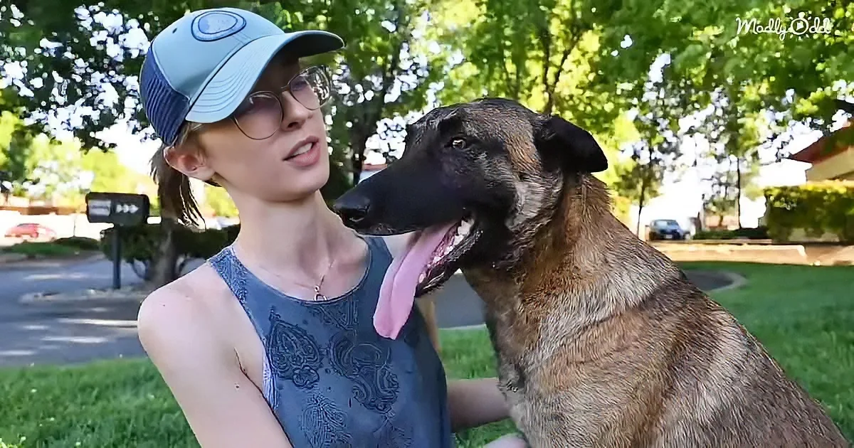 Brave dog and her owner