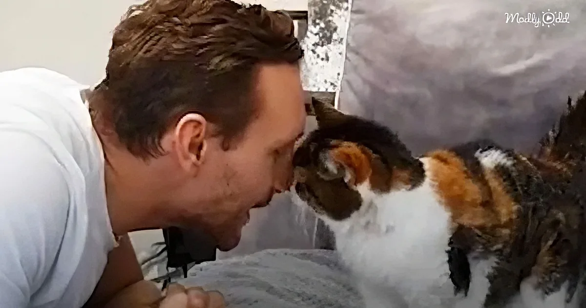 Cat dad and his 22 years old cat