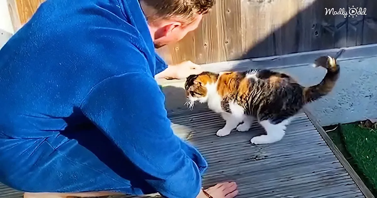 Cat dad and his 22 years old cat
