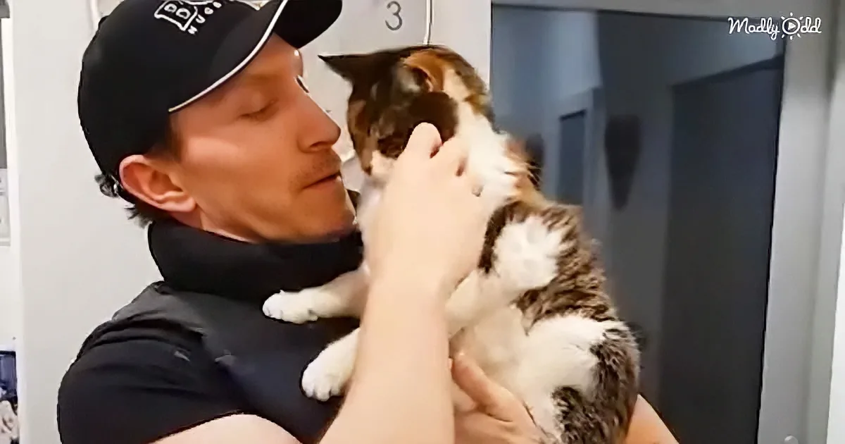 A man in a black cap holds a calico cat, both appearing calm and content.
