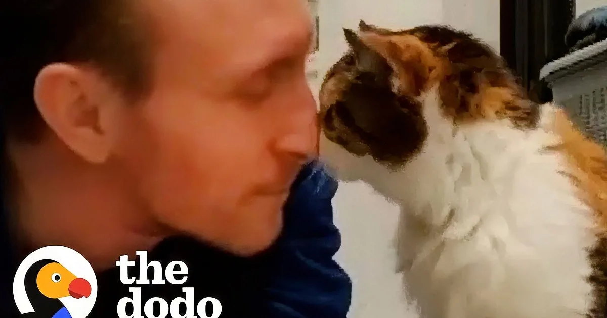 Cat Dad Has a Surprise in Store for Kitty's 23rd Birthday