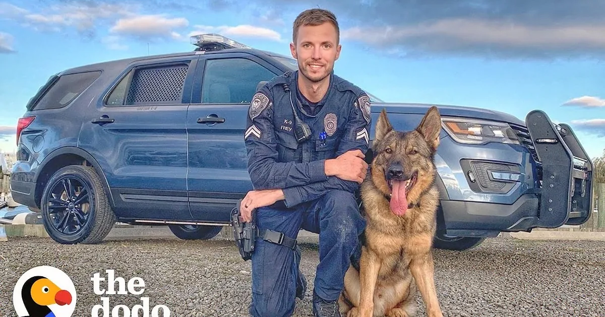 Courageous Police K9 Becomes Protector of His Newborn Sister