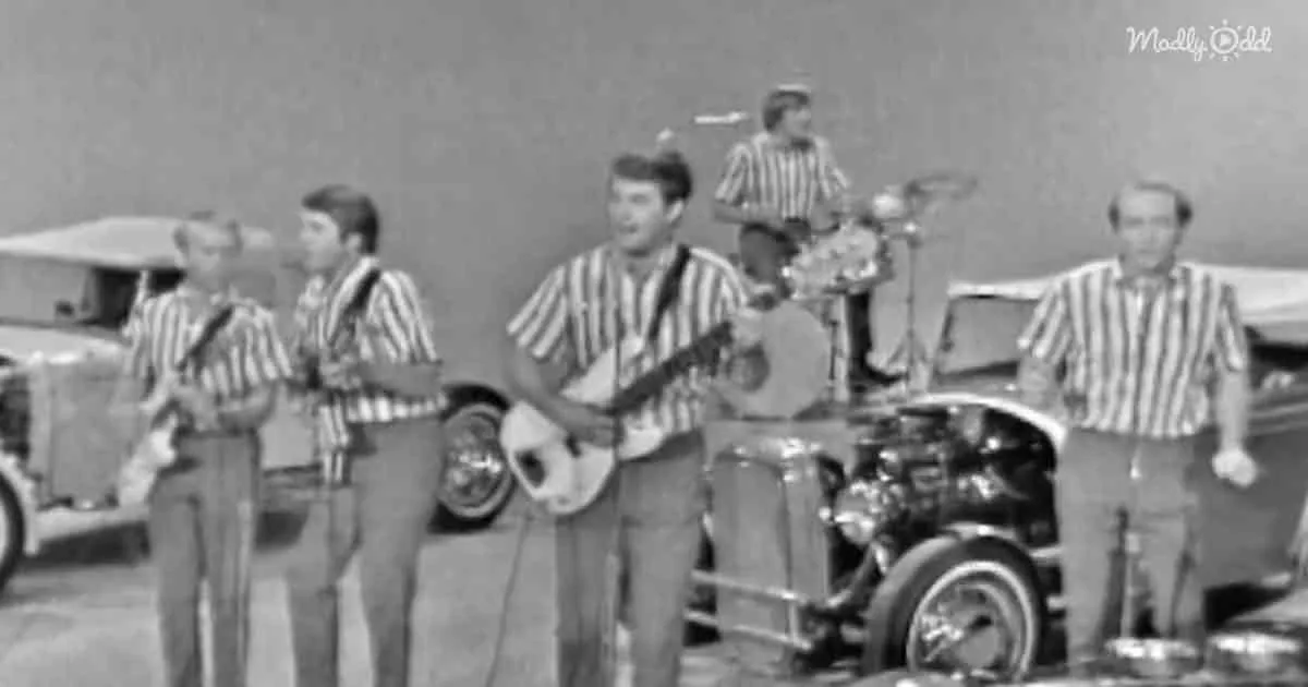The Beach Boys