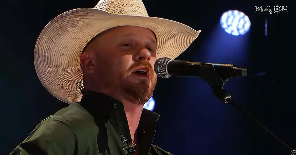 A man in a wide-brimmed hat sings into a microphone on stage.