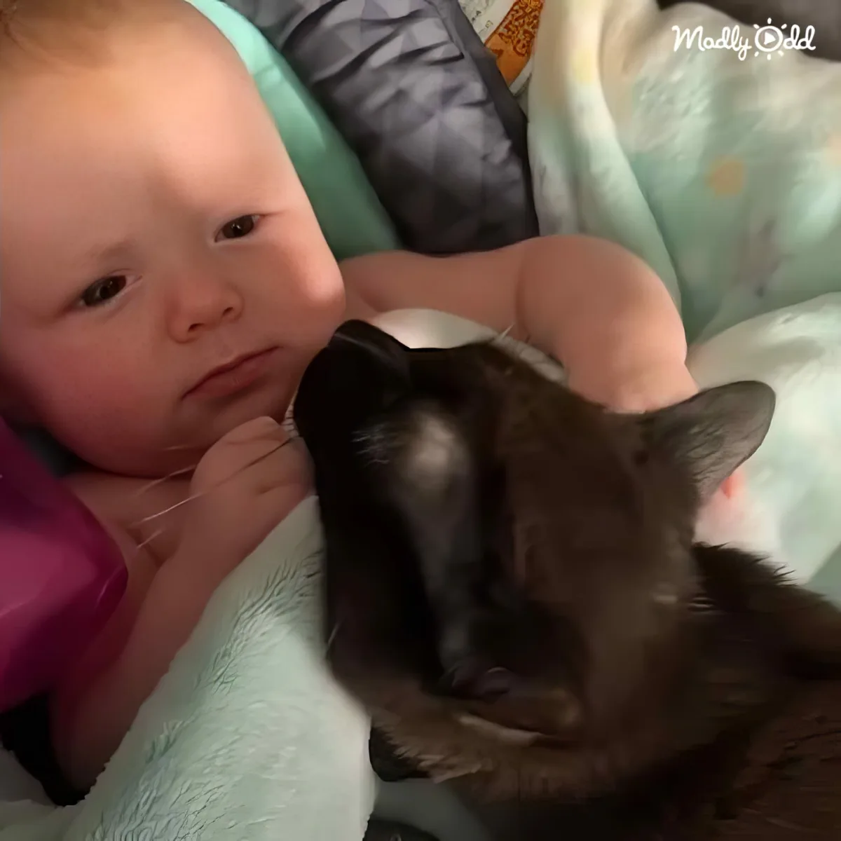 A baby in a teal outfit is gently holding a black cat on a soft, light green blanket.