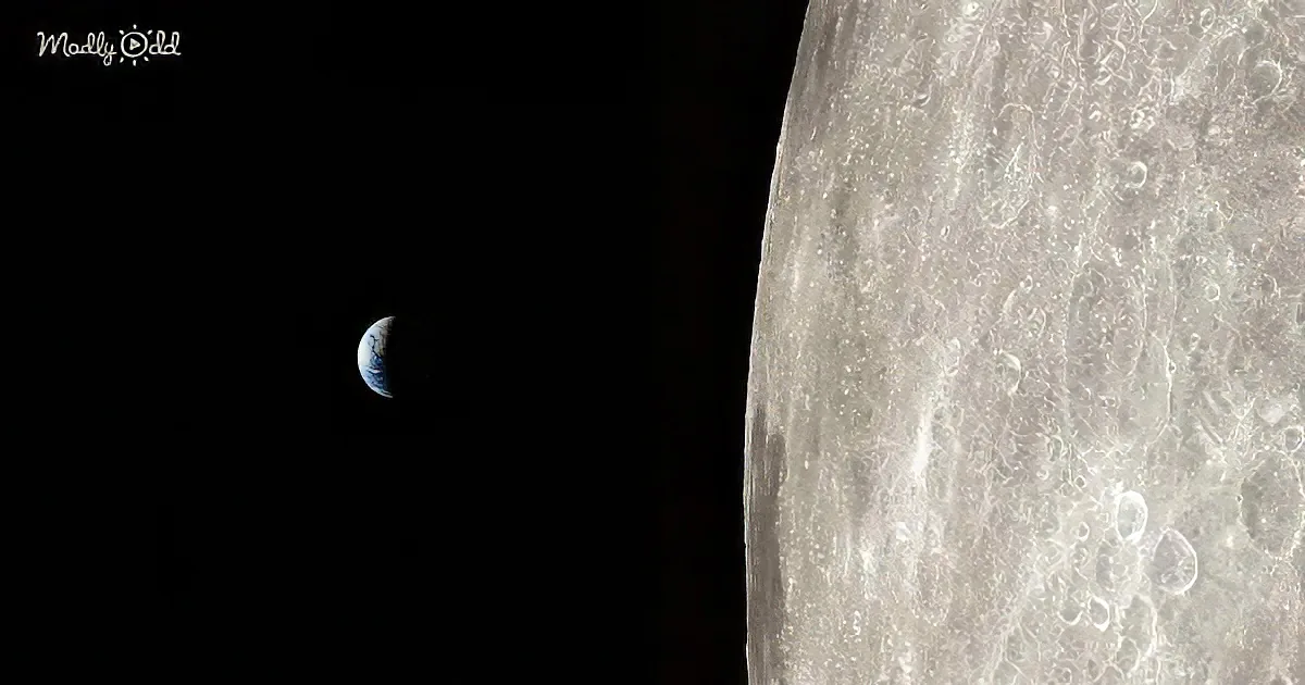 A close-up of the moon's surface with Earth visible in the background against a black sky.