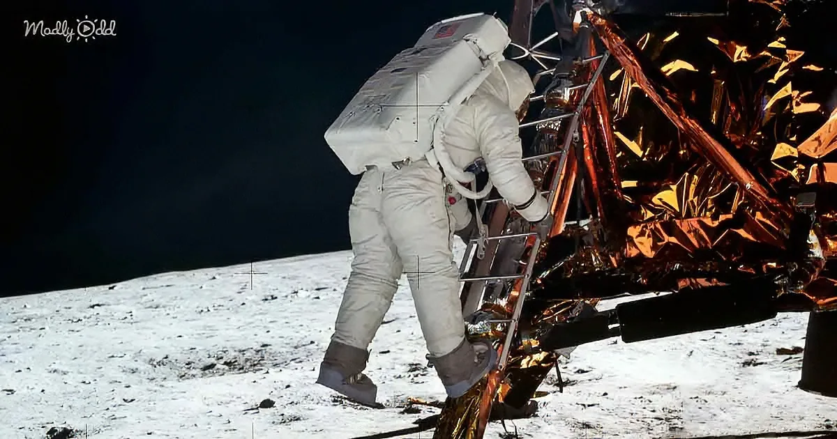 An astronaut descends the ladder of a lunar module on the moon's surface.