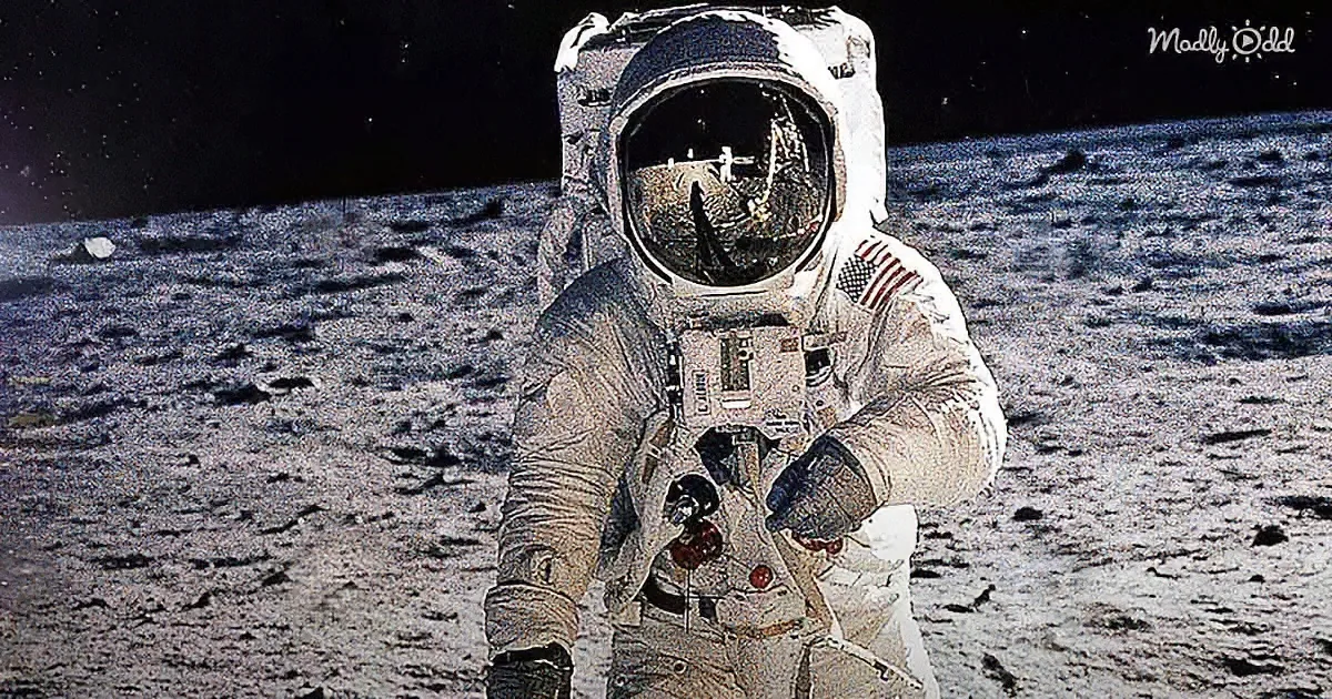 Who Else Can Say They Watched the Moon Landing on TV in 1969?