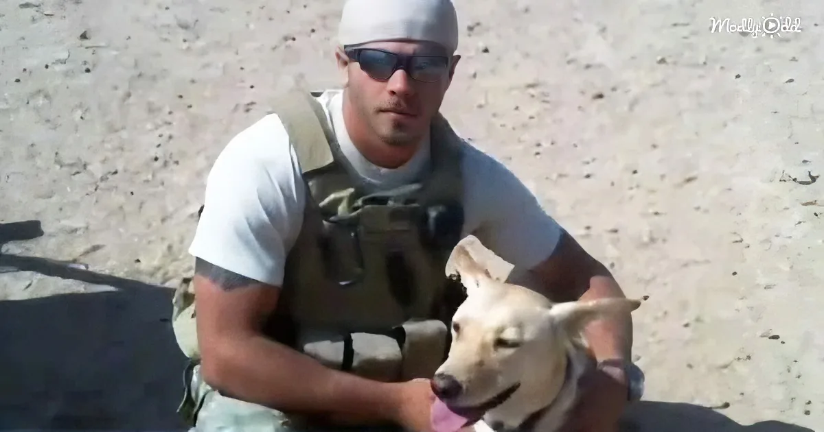 A man in a white shirt and cap holds a light-colored dog on sandy ground.