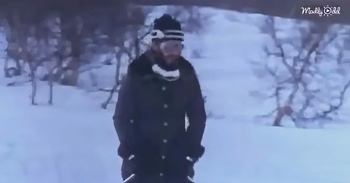 A person in dark winter clothing stands in a snowy landscape with bare trees.