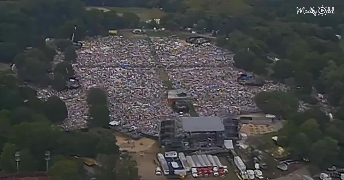 An aerial view of a large crowd gathered at a festival amidst greenery.