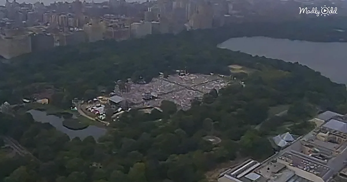 Aerial view of a large, densely packed building complex surrounded by greenery and a body of water.