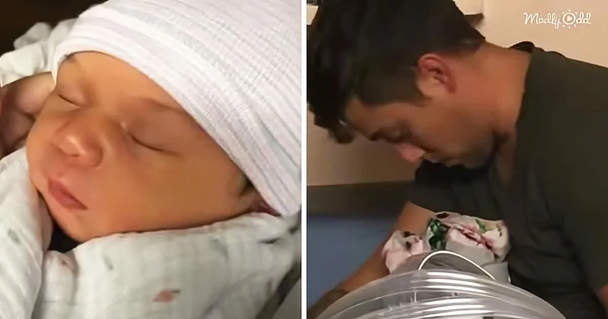 Sleep-Deprived Dad Mistakes Wife's Robe for New Baby