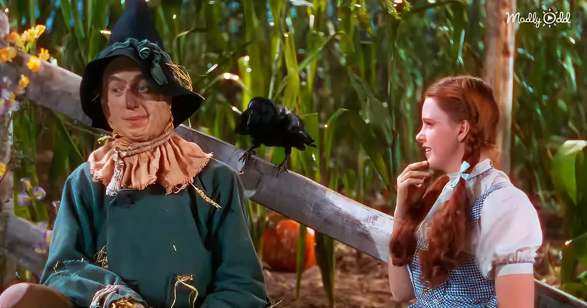 Wizard of Oz