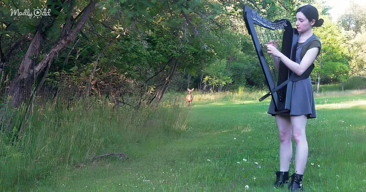 A woman plays a harp in a grassy field with a deer in the background.