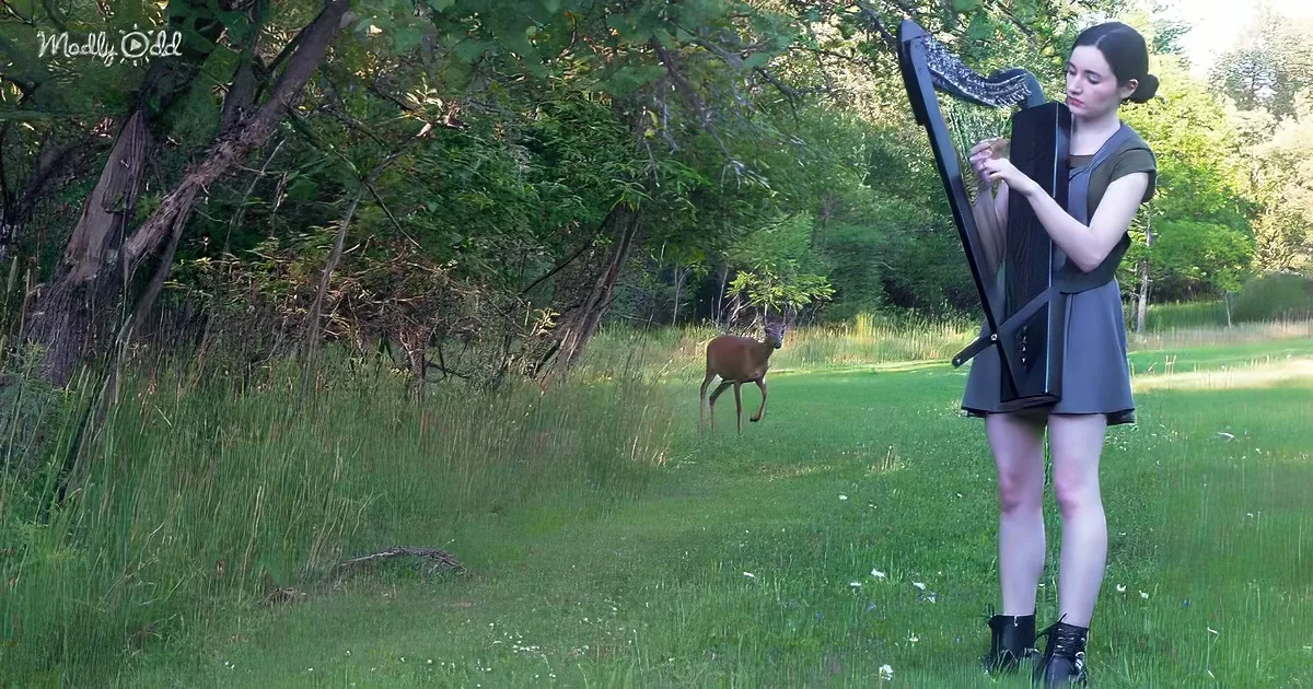 A woman plays a harp in a grassy field with a deer in the background.