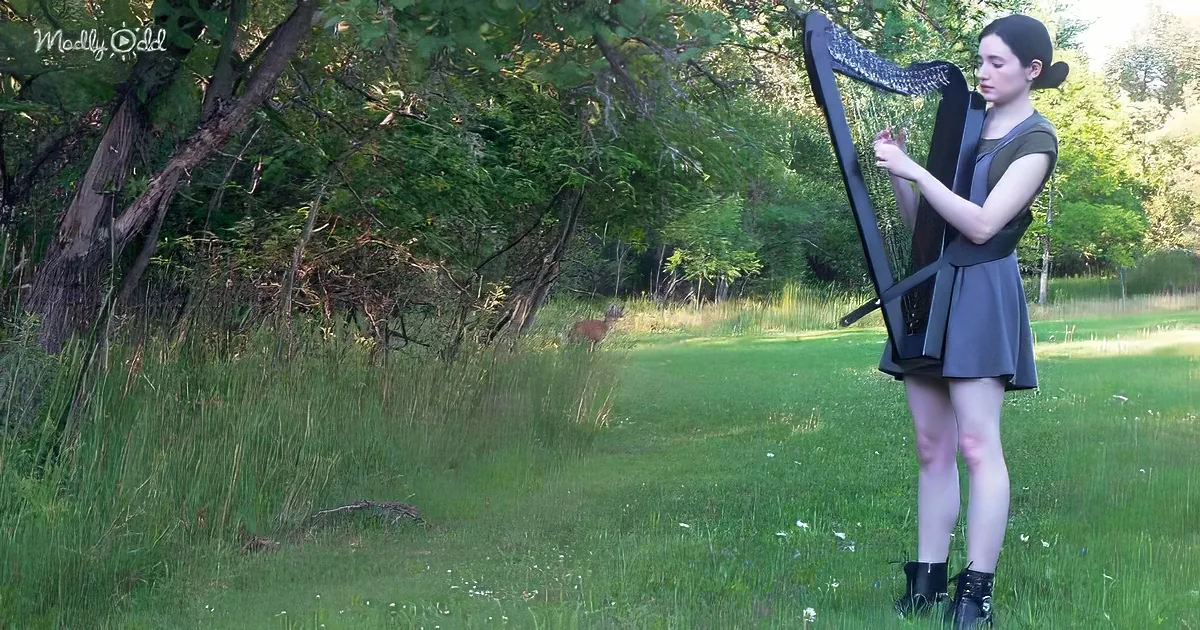 A woman plays a harp in a grassy field with a deer nearby, surrounded by trees.