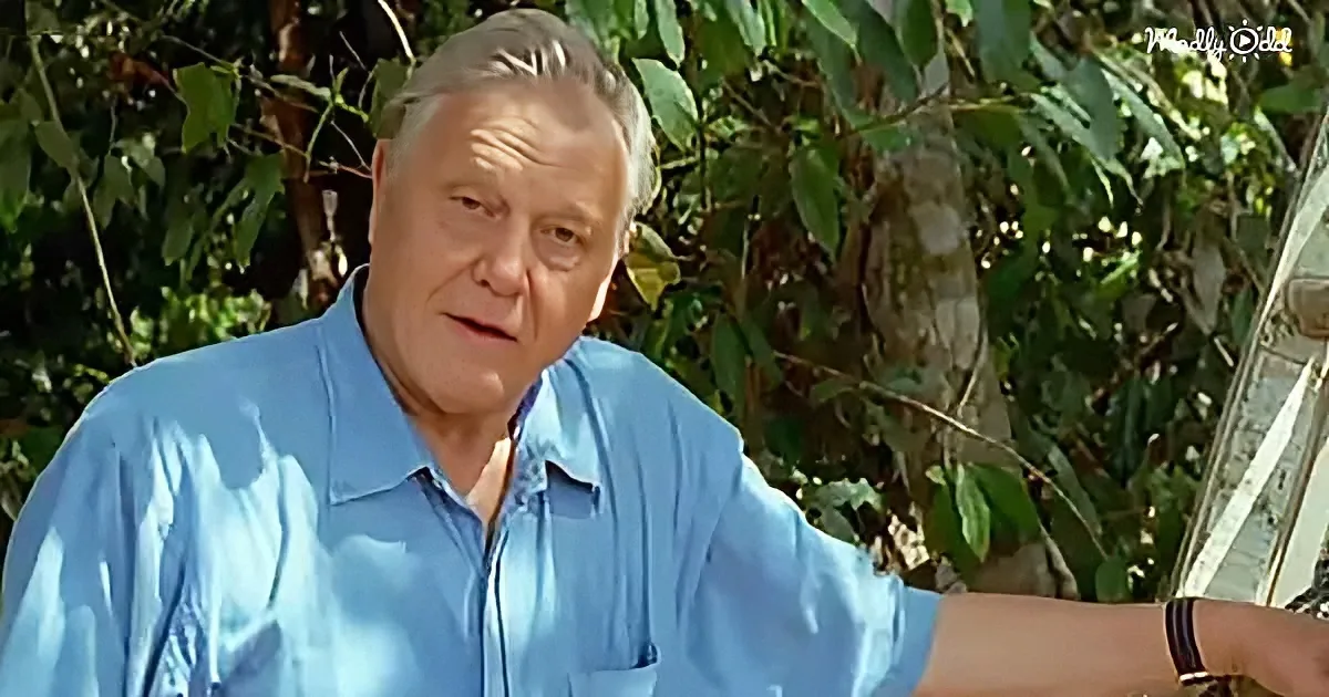A man in a light blue shirt stands outdoors, surrounded by greenery, with a relaxed posture.