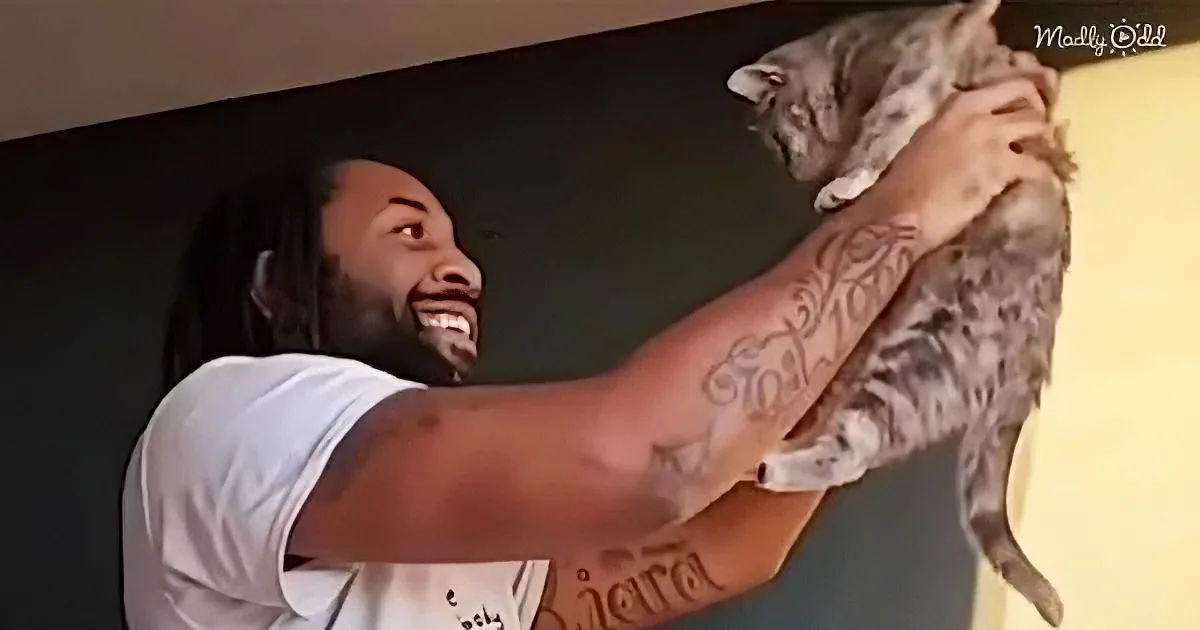 A man with dreadlocks and tattoos holds a gray cat, both smiling.