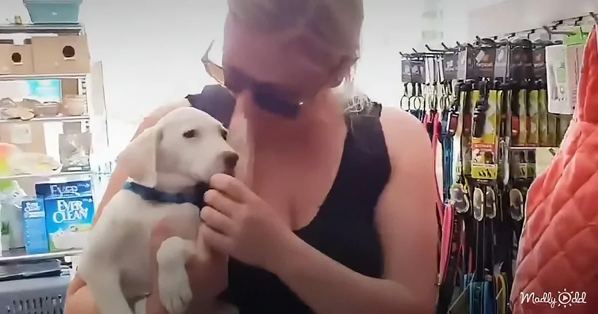 Abandoned puppy rescued