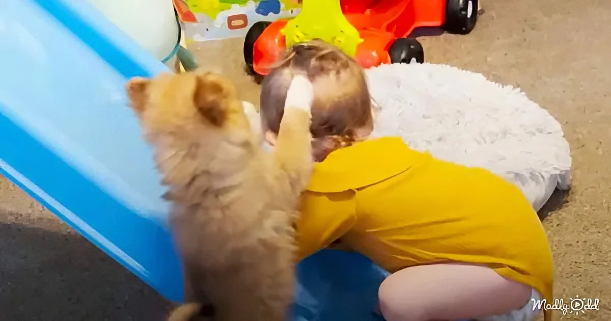 Baby and puppy