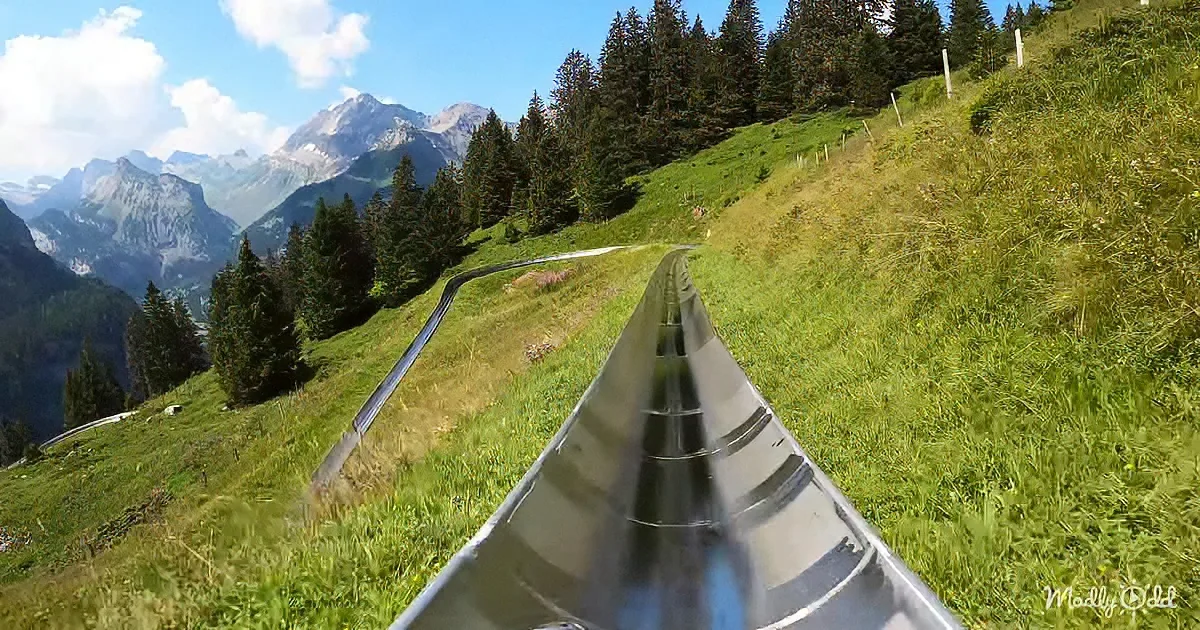 Switzerland mountain coaster