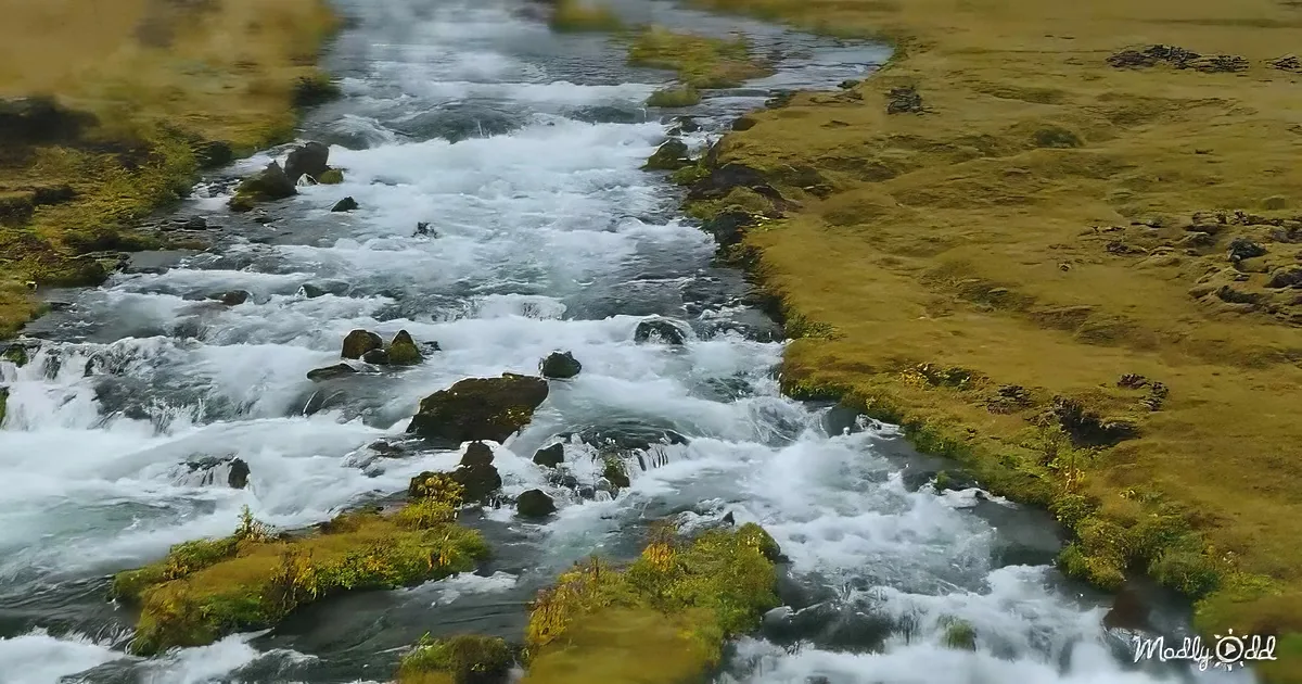 A fast-moving river with white rapids flows through a grassy landscape.