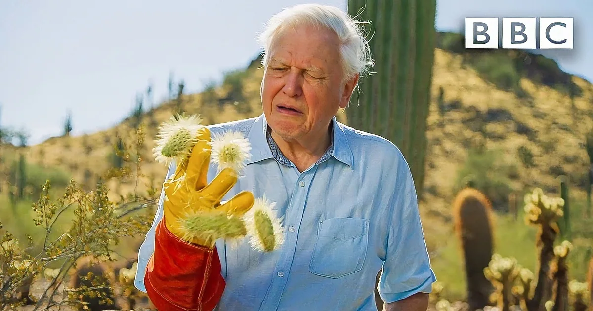 David Attenborough Attacked by Most Dangerous Plant on the Planet