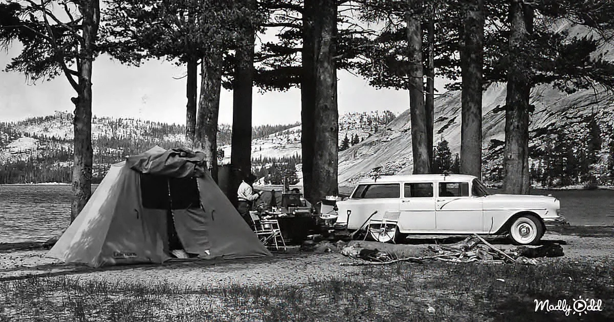 A vintage white station wagon is parked near a tent by a lake, with a person standing nearby.