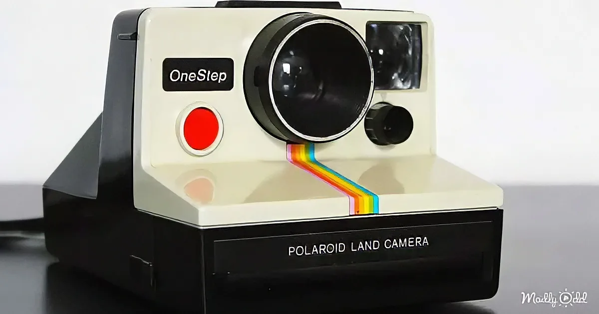 A Polaroid OneStep Land Camera with a rainbow stripe on its front, set against a white background.