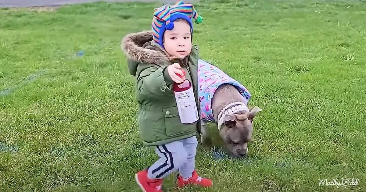 A child in a green coat and colorful hat holds a bottle while walking with a dog in a grassy field.