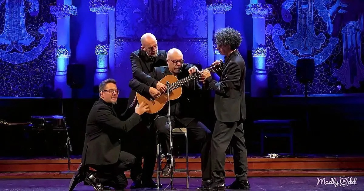 Four musicians in black attire perform on stage with a blue-lit backdrop.