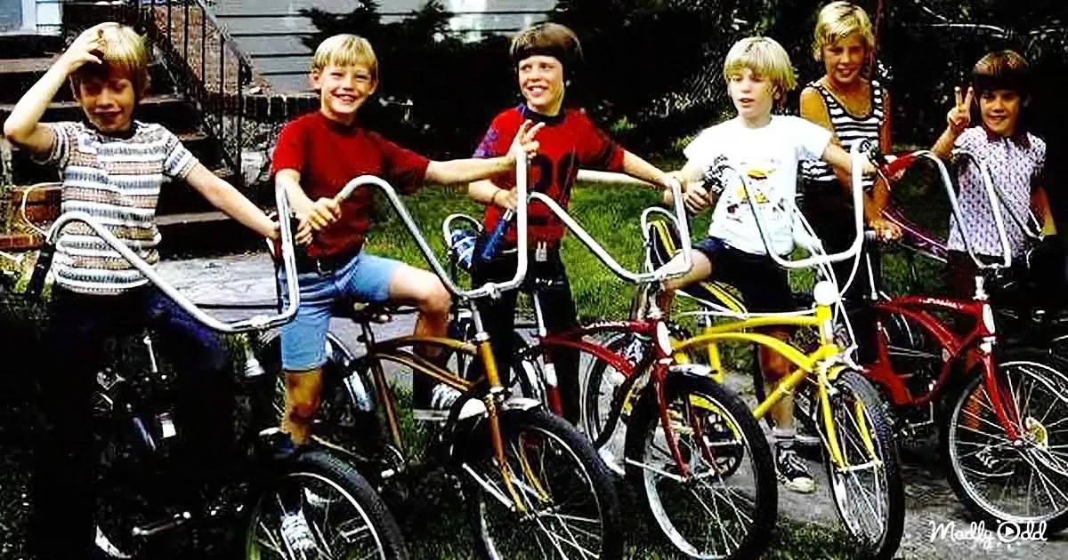 Who Had a Schwinn Bicycle Growing Up?